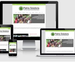 Palms Solutions