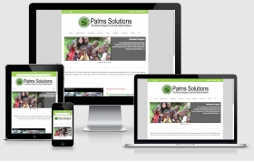 Palms Solutions